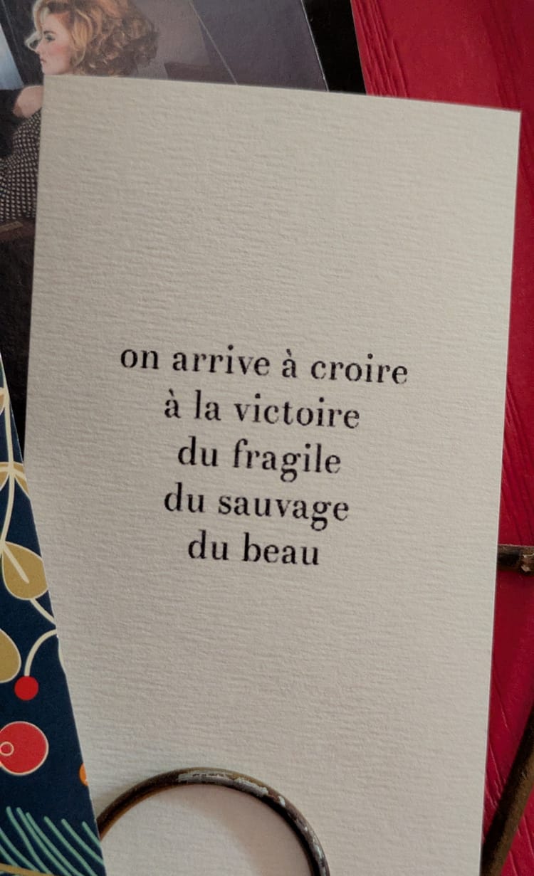 6. JVIE. Journal d'une vieille expatriée. Le grand départ